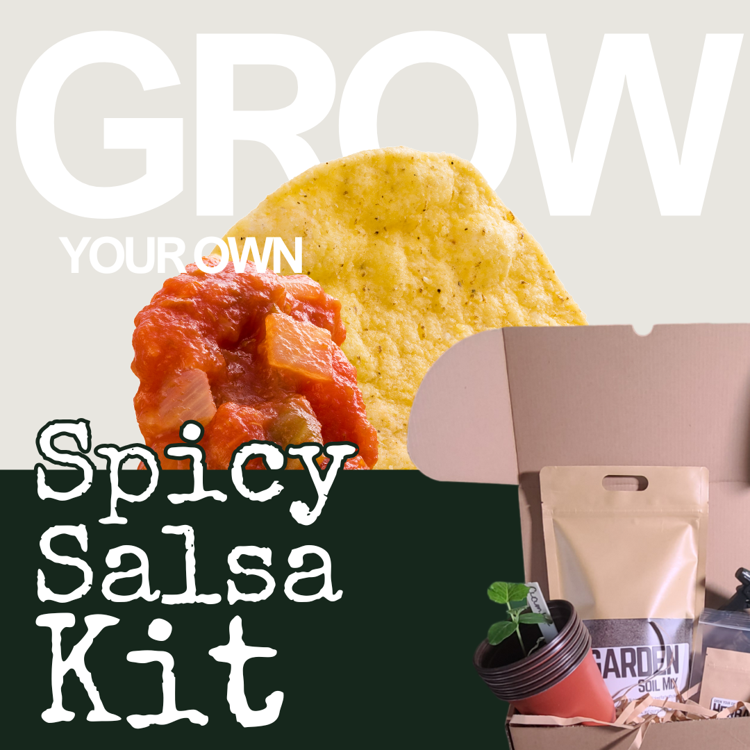 Grow your own Spicy Salsa Kit