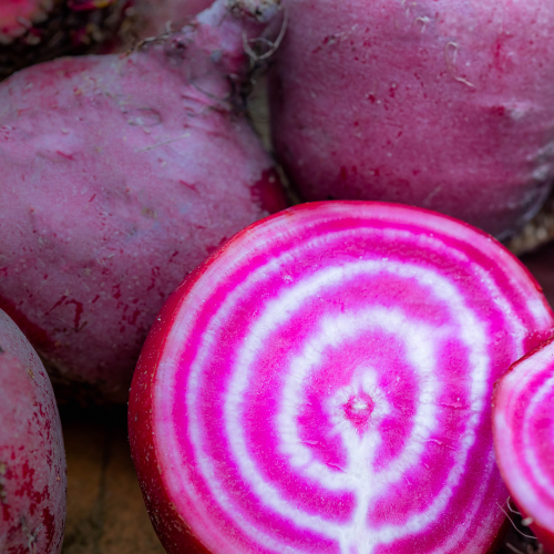 Chioggia Beet Seeds