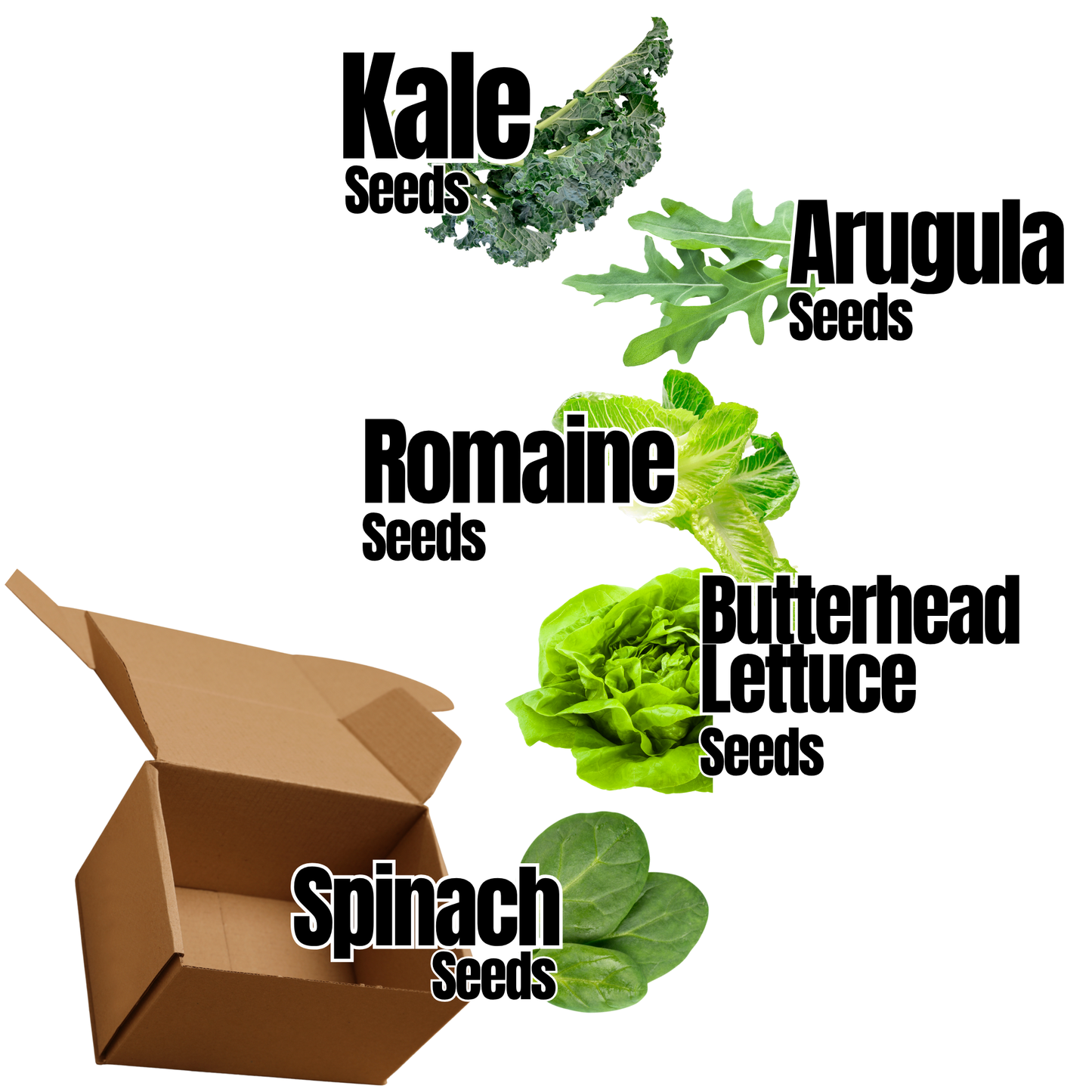 Cultiva tu propio kit de ensalada