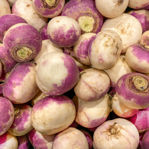 Purple Top White Globe Turnip Seeds