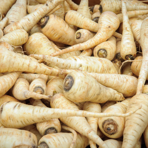 Parsnip Seeds