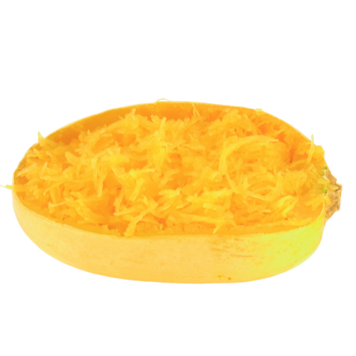 Winter Spaghetti Squash Seeds