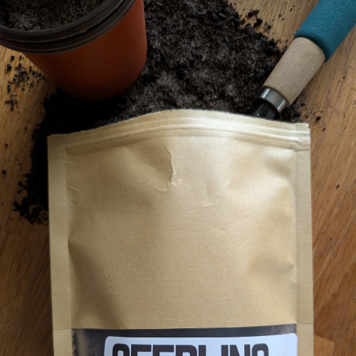 Seedling Starter Mix