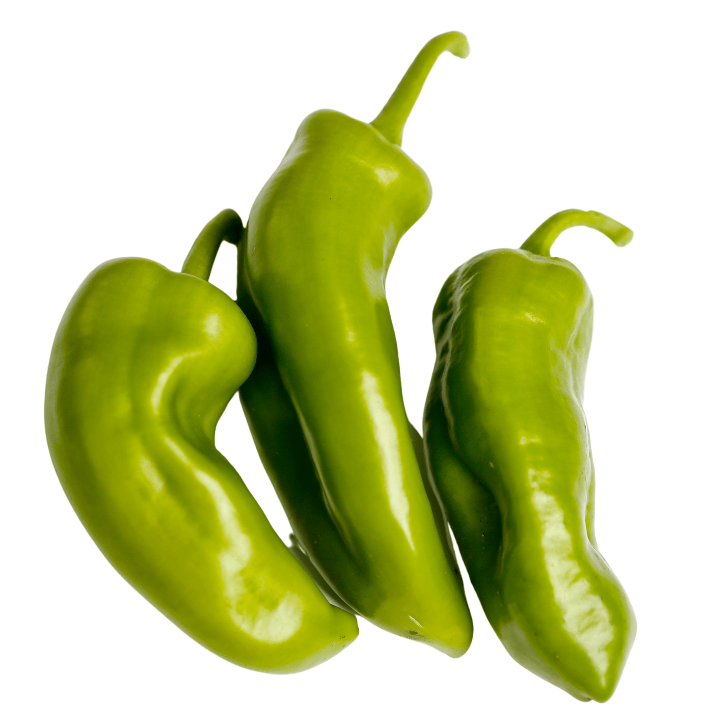 Anaheim-Chili Peppers - Hasty Roots