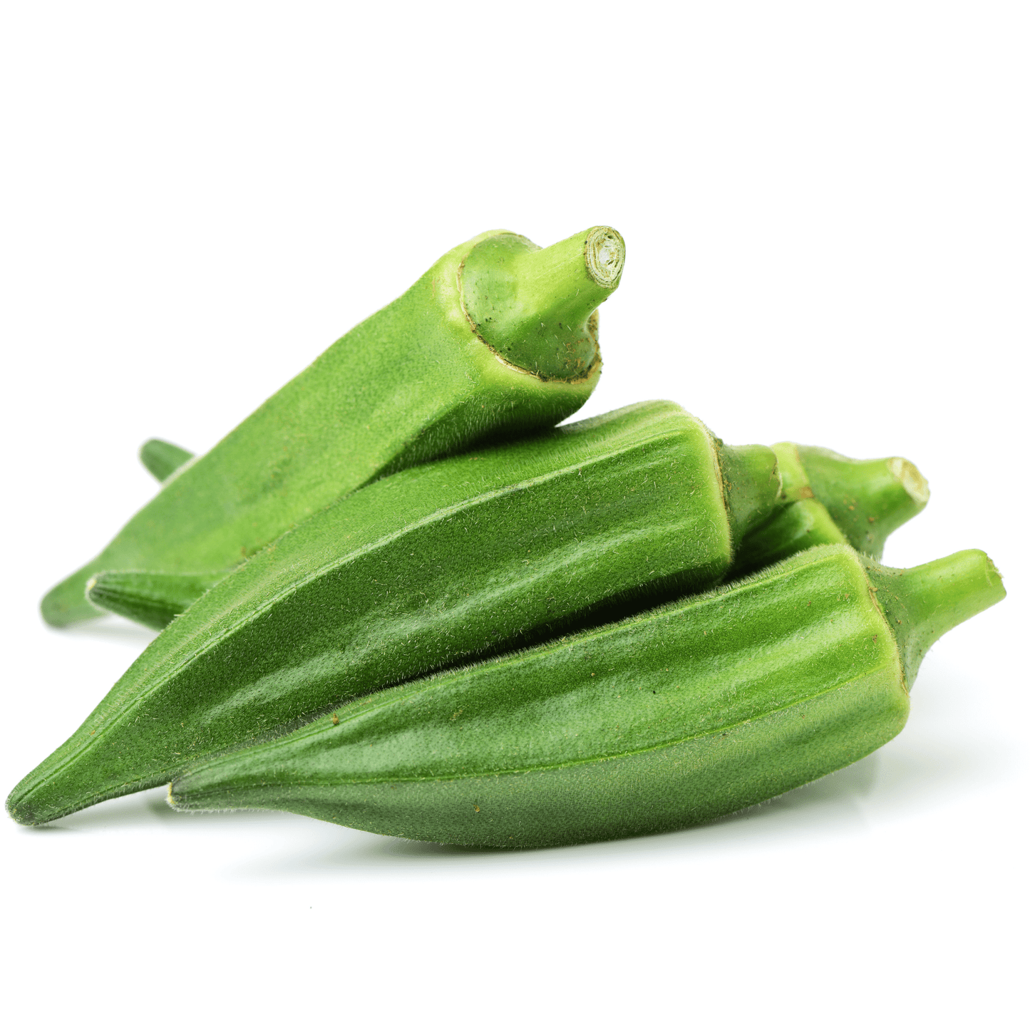 Okra-Clemson Spineless - Hasty Roots