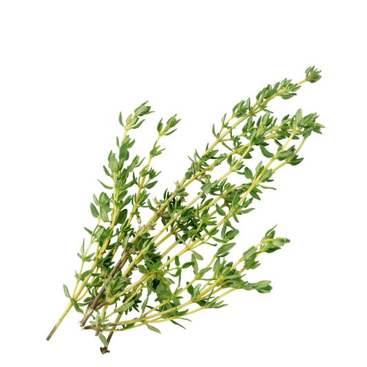 Thyme Seeds