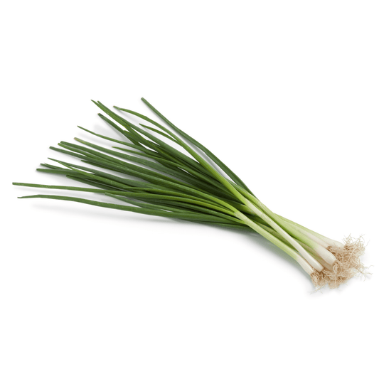 Tokyo Long White Bunching Onions Seeds