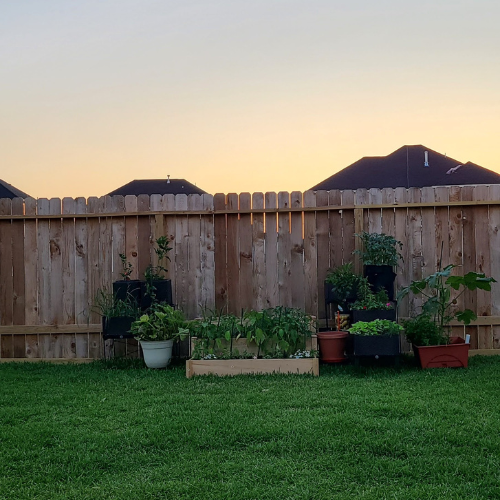 Where Should You Start Your Garden?