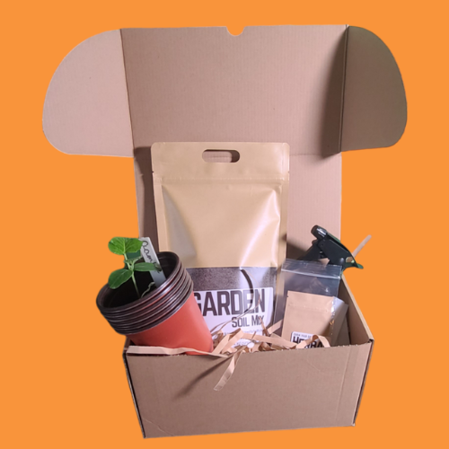 Garden Kits