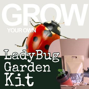 compare product Grow your own LadyBug Garden Kit