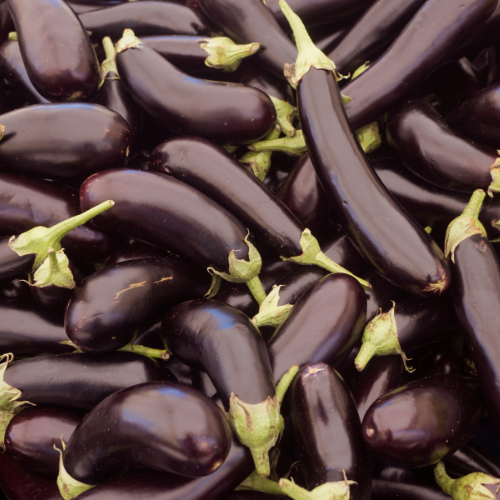 Eggplant Seeds