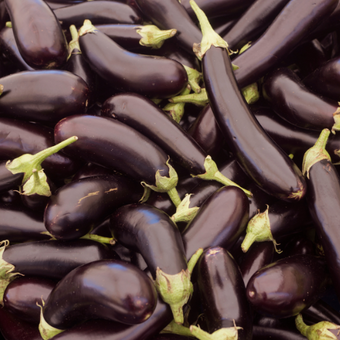 compare product Long Purple Eggplant Seeds