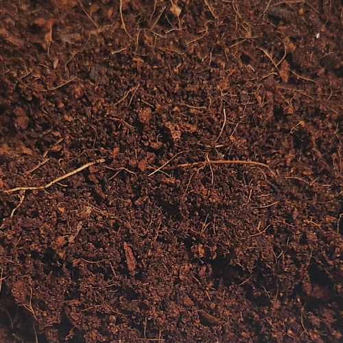 Coconut Coir