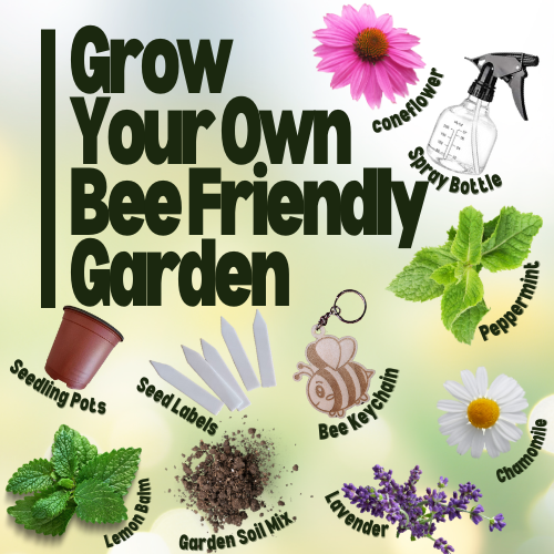 Grow your own Bee Friendly Garden