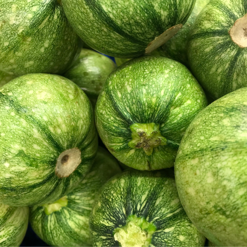 Round Zucchini