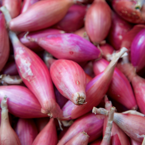 Red Onion Seeds