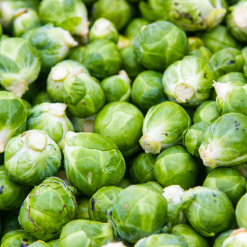 Semillas de coles de Bruselas
