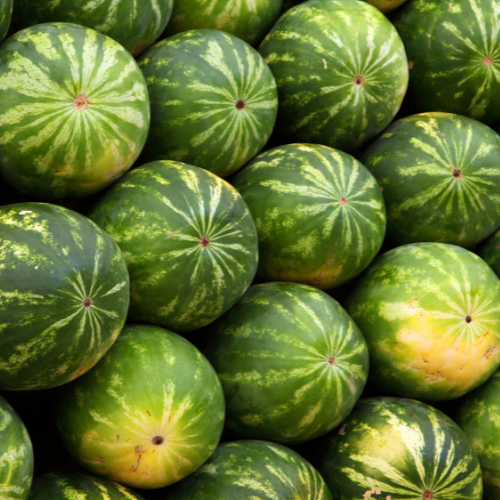 Watermelon Seeds