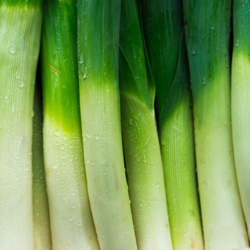 Leek Seeds