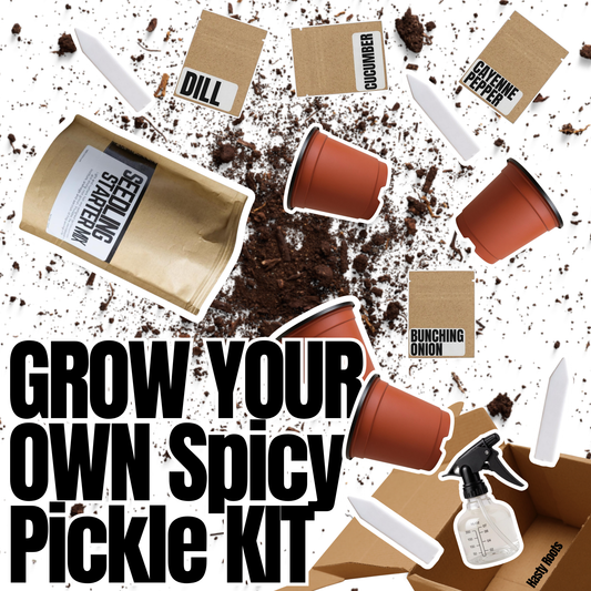Cultiva tu propio kit de pepinillos picantes