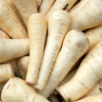 Parsnip Seeds