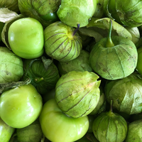 Tomatillo Seeds