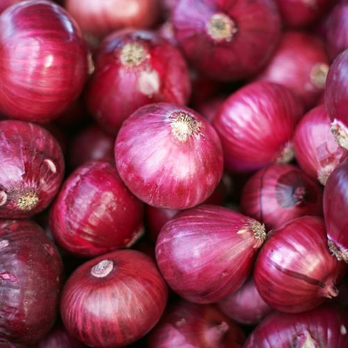 Red Onions Seeds