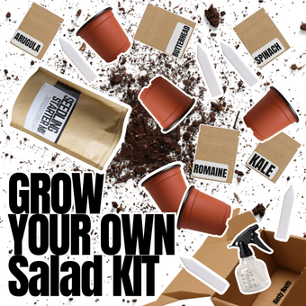 compare product Cultiva tu propio kit de ensalada