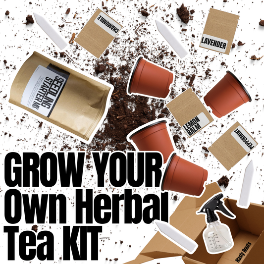 Kit para cultivar tu propio té de hierbas