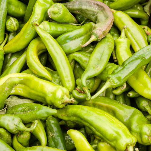 Semillas de pimiento Anaheim