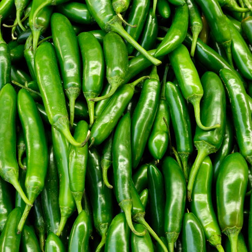 Semillas de pimiento Anaheim