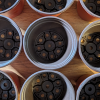 Macetas para trasplante de plántulas