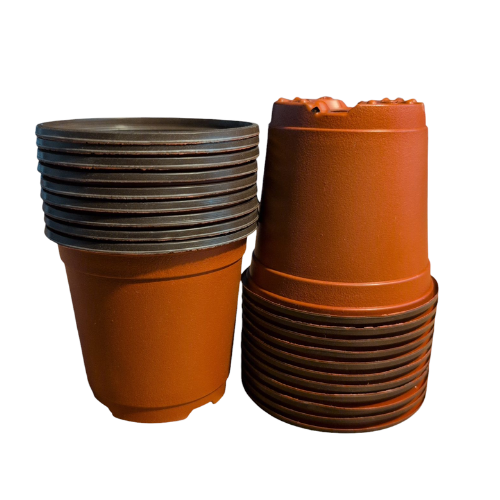 Macetas para trasplante de plántulas