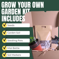 Grow Your Own Spicy Pickle Kit