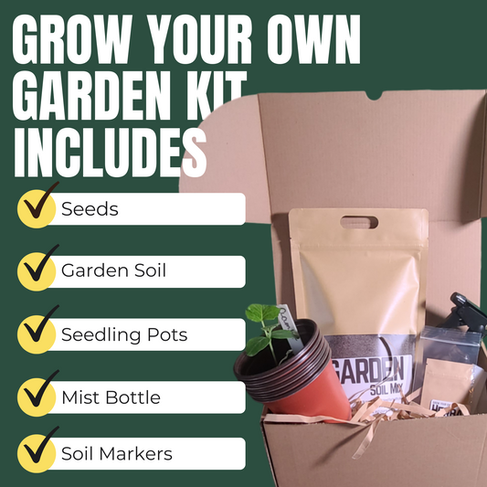 Grow your own Bloody Mary Kit
