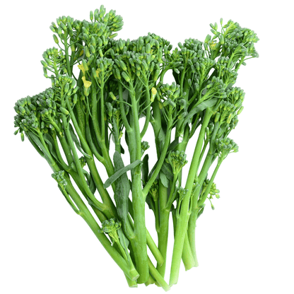 Broccolini - Hasty Roots