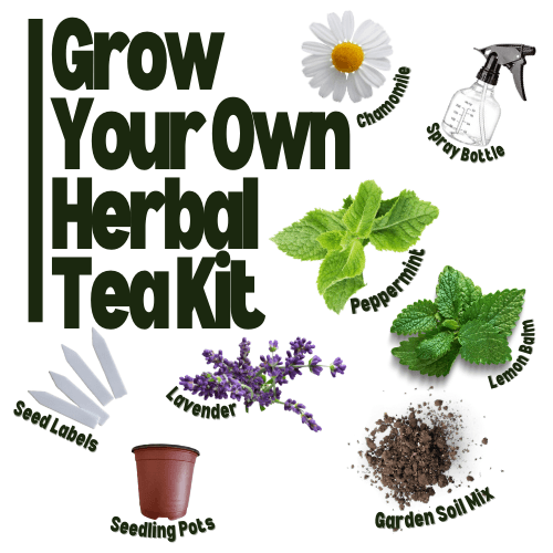 Grow Your Own Herbal Tea Kit - Hasty Roots