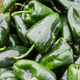 Poblano Pepper Seeds - Hasty Roots