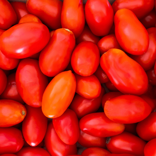 San Marzano Tomato Seeds - Hasty Roots