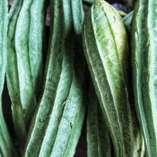 Luffa Sponge Seeds - Hasty Roots