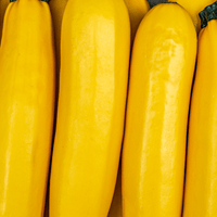 Squash Yellow Seeds - Hasty Roots
