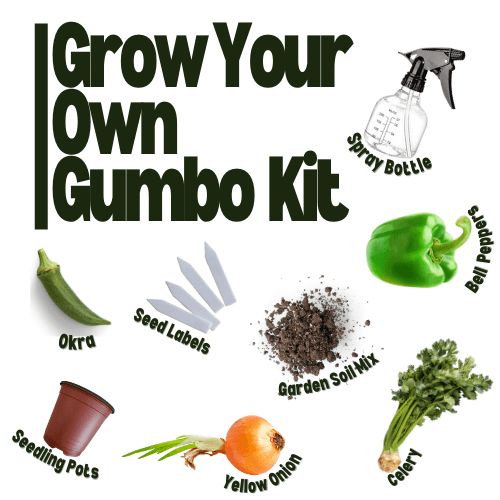 Grow your own Gumbo Kit - Hasty Roots