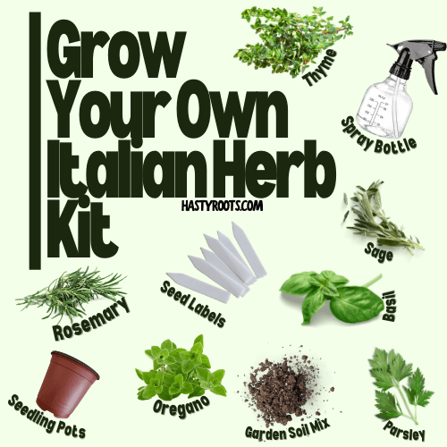 Grow your own Italian Herb Kit - Hasty Roots
