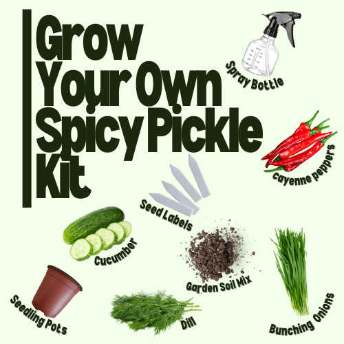 Grow Your Own Spicy Pickle Kit - Hasty Roots