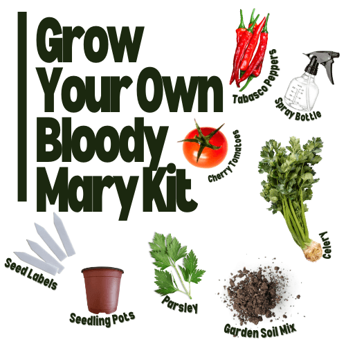 Grow your own Bloody Mary Kit - Hasty Roots