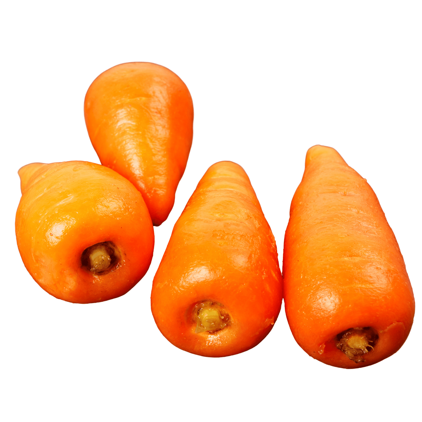 Carrot-Royal Chantenay - Hasty Roots