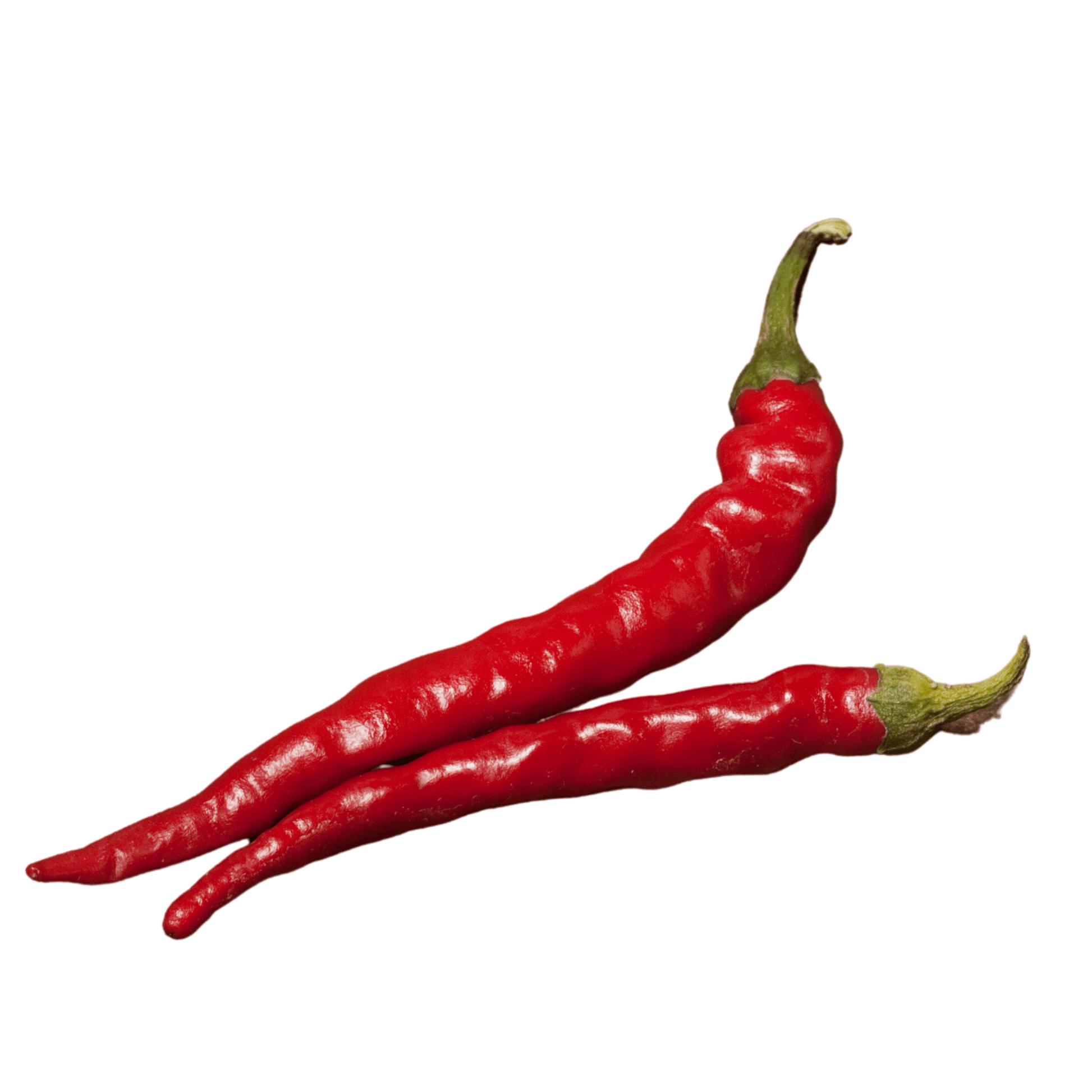 Cayenne Peppers-Long Slim - Hasty Roots