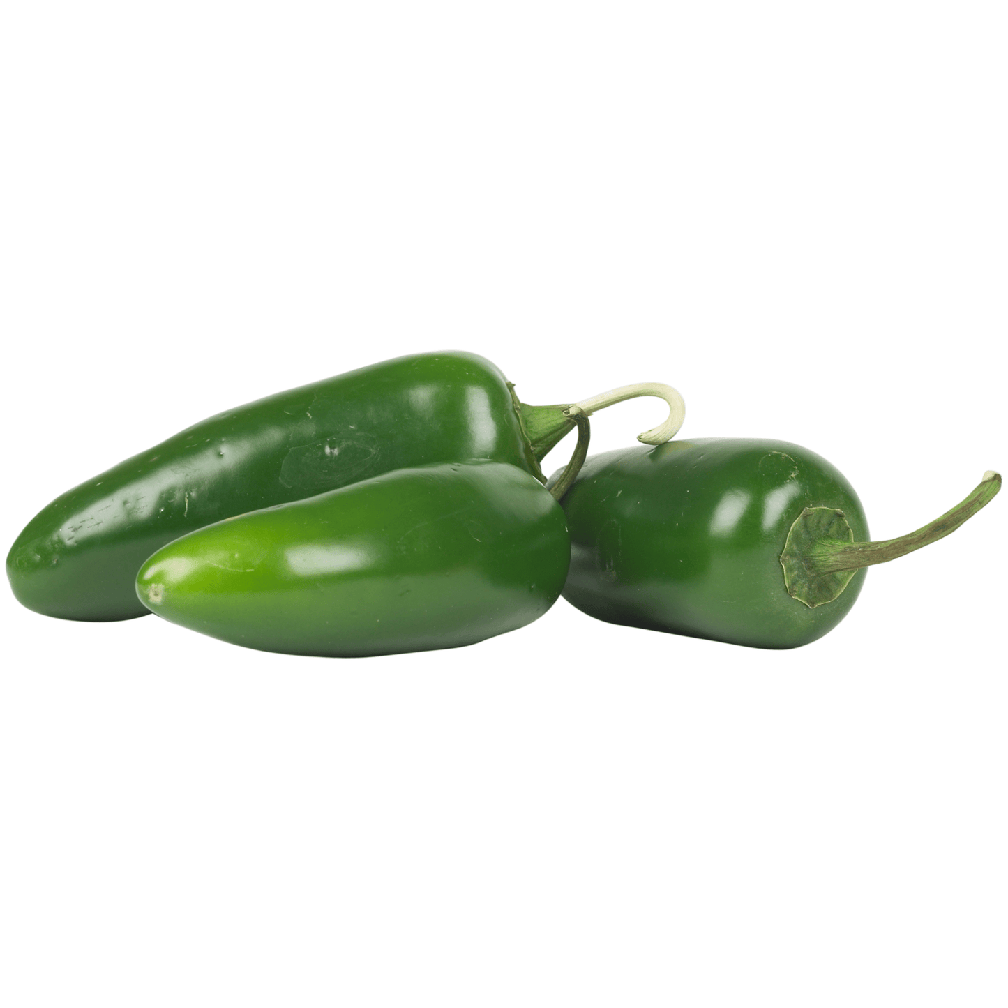 Jalapeno Peppers - Hasty Roots