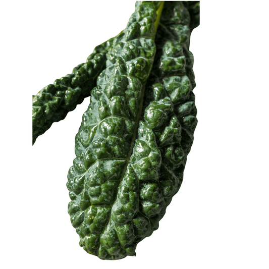Kale Seeds