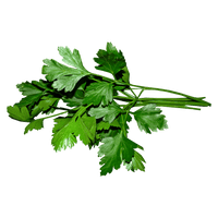 Parsley Seeds - Hasty Roots